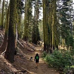 Meet your Posher, Aya